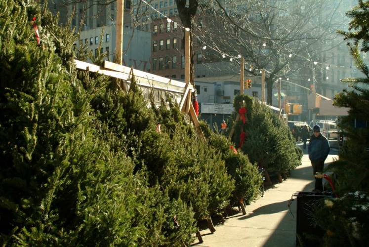 NYC_2006-12-04 13-18-06